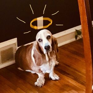 Meet your Posher, Carla